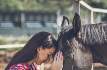 Healing with Horses